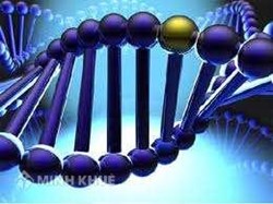 TRANSLATION OF TECHNOLOGICAL DOCUMENTS: