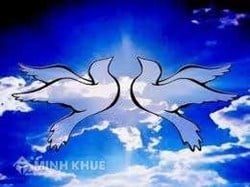 Suy nghĩ về khái niệm trí thức