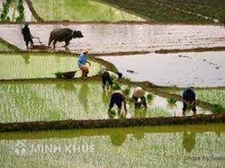 Tìm hiểu 418 Bộ luật tố tụng dân sự năm 2004