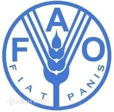 Tổ chức FAO tại Việt Nam