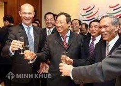 Cầu tiến hay cầu toàn