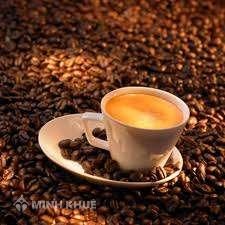 Cà phê chồn đạt chuẩn đạo Hồi