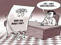 Một bệnh nhân xin được chết