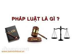 Tại sao chủ thể vi phạm pháp luật phải chịu trách nhiệm pháp lý ?