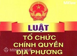 Tư vấn về tổ chức chính quyền địa phương theo quy định của pháp luật ?