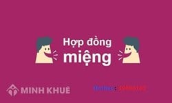 Áp dụng tập quán vào giải quyết tranh chấp hợp đồng ?