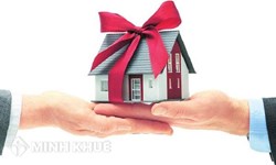 Xin hỏi về quyền quản lý sử dụng đất nông nghiệp đấu giá từ năm 1993 ? Thủ tục đấu giá đất quyền sử dụng đất ?