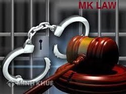 Xử lý hành vi vận chuyển động vật hoang dã quý hiếm như thế nào ?