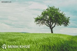 Có được bồi thường thiệt hại hoa màu trên đất khi bị thu hồi không ?