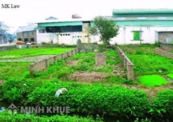 Xây dựng chuồng trại trên đất nông nghiệp là đúng hay sai ?