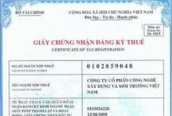 Mất <strong>mã</strong> <strong>số</strong> <strong>thuế</strong> cá nhân ?