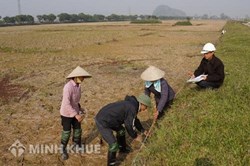 Làm thế nào để vợ được chia đất ruộng khi có thêm nhân khẩu ?