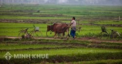 Mức bồi thường thiệt hại do làm ô nhiễm môi trường và gây tổn hại sức khỏe cho người khác ?