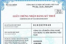 Có phải nộp thuế thu nhập cá nhân (TNCN) với người lao động (NLĐ) chưa có mã số thuế ?