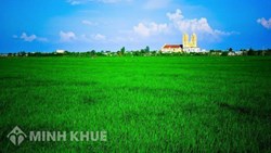 Mẫu tờ khai đăng ký chuyển mục đích sử dụng đất