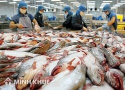 Muốn đăng ký đại lý bán hàng thì cần phải làm thủ tục gì?