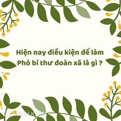 Hiện nay điều kiện để làm Phó bí thư đoàn xã là gì ?