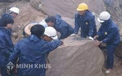 Cơ sở để xác định công việc nặng nhọc, độc hại, nguy hiểm ?