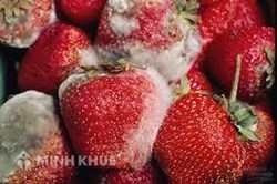Hàng hóa hư hỏng, hết hạn sử dụng có phải xuất hóa đơn không ?