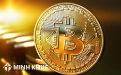 Kinh doanh daycoins tại Việt Nam không giấy phép kinh doanh có phạm pháp luật hay không?