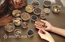 Để lưu hành thuốc đông dược ra thị trường thì cần những thủ tục gì ?