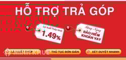 Vay hỗ trợ trả góp và mua điện thoại trả góp mà mất khả năng lao động thì bị xử lý thế nào ?