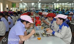 Công ty tổ chức ăn trưa cho nhân viên trên 730.000đ / tháng thì có phải cộng vào để tính thuế thu nhập cá nhân không ?