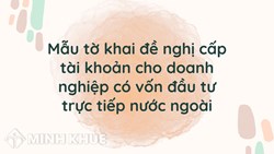 Mẫu tờ khai đề nghị cấp tài khoản cho doanh nghiệp có vốn đầu tư trực tiếp nước ngoài