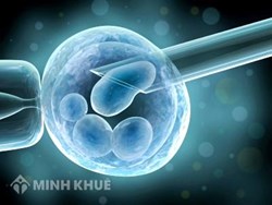 Nguyên tắc của việc sinh con theo kỹ thuật hỗ trợ sinh sản