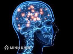 Vai trò của hoạt động nhận thức trong các giai đoạn tố tụng
