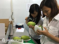 Bảng mã HS và danh mục vật thể phải kiểm dịch thực vật khi nhập khẩu