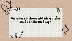 Ông bà có được giành quyền nuôi cháu không?