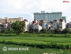 Mức thu tiền bảo vệ, phát triển đất trồng lúa như thế nào ?