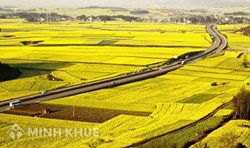 Năm 2020, Đất nông nghiệp hết thời hạn sử dụng phải làm thế nào?