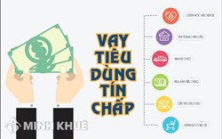 Vay tiền qua ứng dụng "Doctor<strong>Dong</strong>" không có khả năng thanh toán có bị truy cứu trách nhiệm hình sự ?