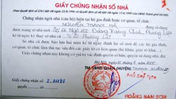 Thủ tục cấp số nhà mới nhất 2020 ở thành phố Hồ Chí Minh?