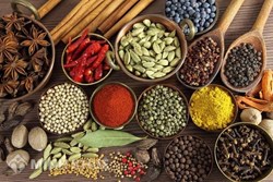 Các chứng chỉ cần thiết heo quy định của pháp luật để mở quầy thuốc bán lẻ thuốc đông y, dược liệu sao cho hợp pháp?