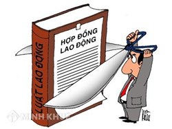 Tư vấn về hợp đồng lao động theo quy định của pháp luật