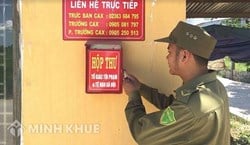 Tố giác hành vi chiếm đoạt tài sản? Thủ tục như nào? Ai có quyền tiếp nhận?