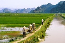 Vướng mắc về đất nông nghiệp đã hết thời hạn và vấn đề mua bán, chuyển nhượng đất ?
