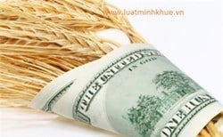 Tư vấn các vấn đề liên quan đến ngoại tệ ?