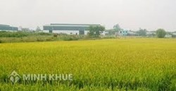 Điều kiện chuyển đổi mục đích sử dụng đất từ đất nông nghiệp sang đất ở như thế nào ?