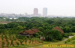 Giá đất khi chuyển từ đất hoa màu lên đất ở được tính như thế nào ?