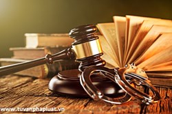 Có thể khởi kiện tội lừa đảo chiếm đoạt tài sản không ?