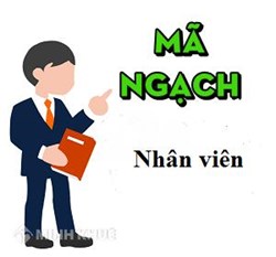 Thay đổi mã ngạch nhân viên ?