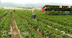 Chuyển đổi đất nông nghiệp sang đất có thổ cư thực hiện thế nào ? tiền thuế phải nộp có cao không ?