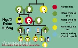 Mẹ chuyển nhượng đất cho con khi ba đã mất ?