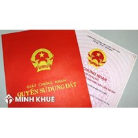 Mẫu đơn xin cấp giấy chứng nhận quyền sử dụng đất