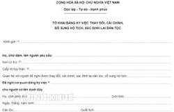 Mẫu Tờ khai đăng ký việc thay đổi, cải chính, bổ sung hộ tịch, xác định lại dân tộc, xác định lại giới tính trong giấy khai sinh ?