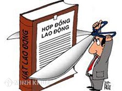 Phân biệt hợp đồng lao động và hợp đồng làm việc?